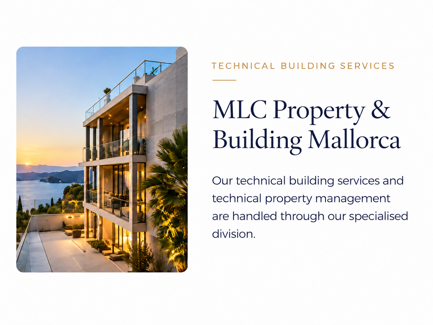 Discover MLC Property & Building